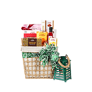 سلة كنوز الصحراء المتألقة - وسط