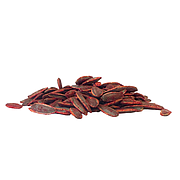 Sunflower Seeds Fiery Takkis