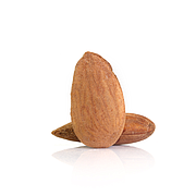 Spanish Almond  Lightly Salted