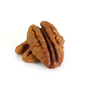 Pecan